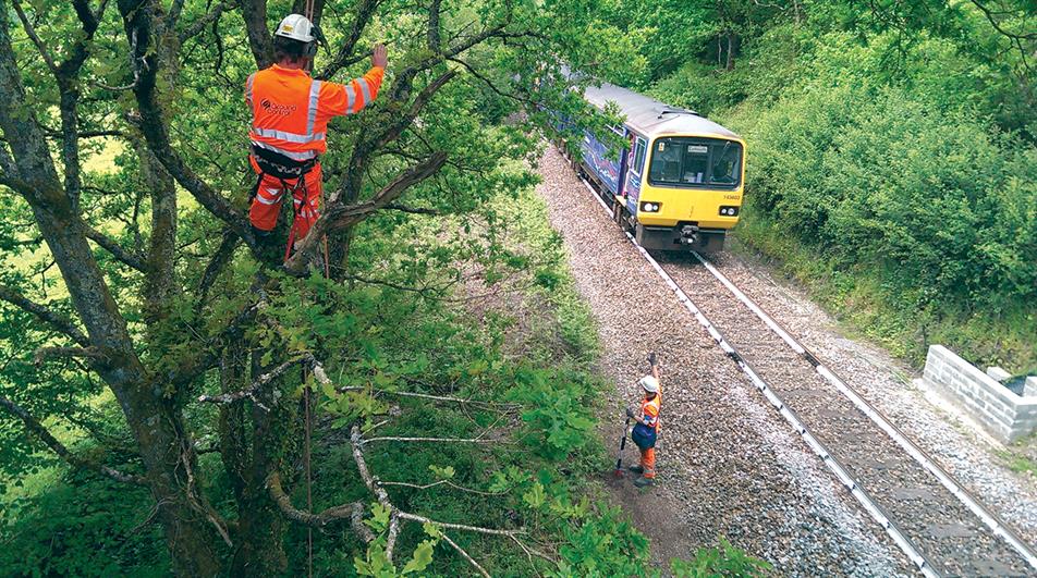 Tree maintenance by rail line - credit: Ground Control
